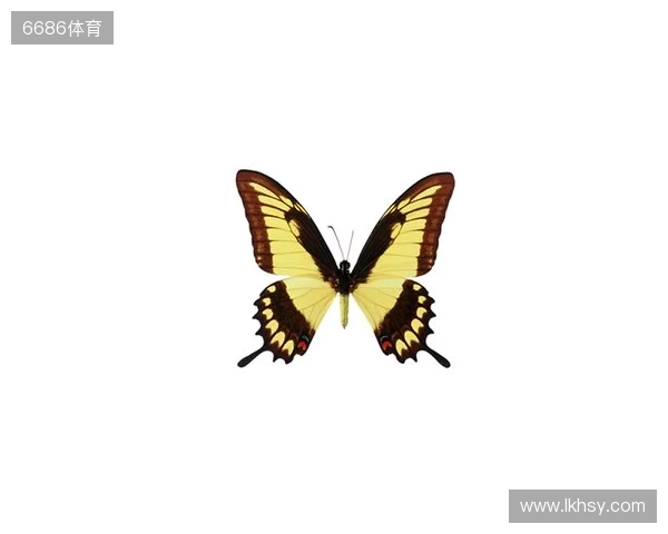 破茧成蝶:Legacy如何登顶南美、跻身世界顶尖行列 破茧成蝶:Legacy如何登顶南美、跻身世界顶尖行列